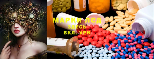 дмт Аркадак