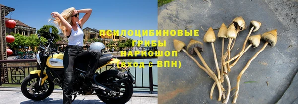 гидропоника Армянск
