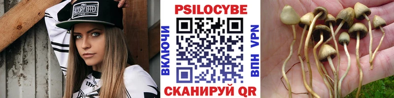 ссылка на мегу ссылка  наркотики  Бабушкин  Галлюциногенные грибы мицелий 