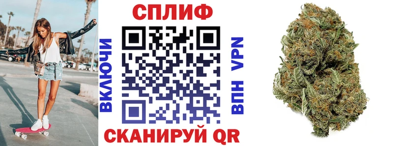 Бошки марихуана MAZAR  мега как войти  Бабушкин 